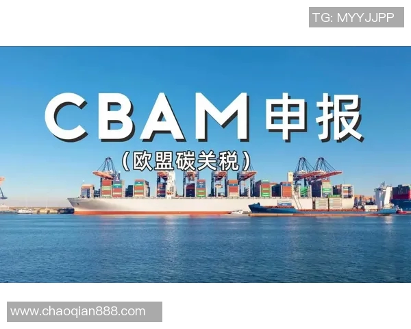 欧盟环境委员会提议设立碳边境税，引发行业反响